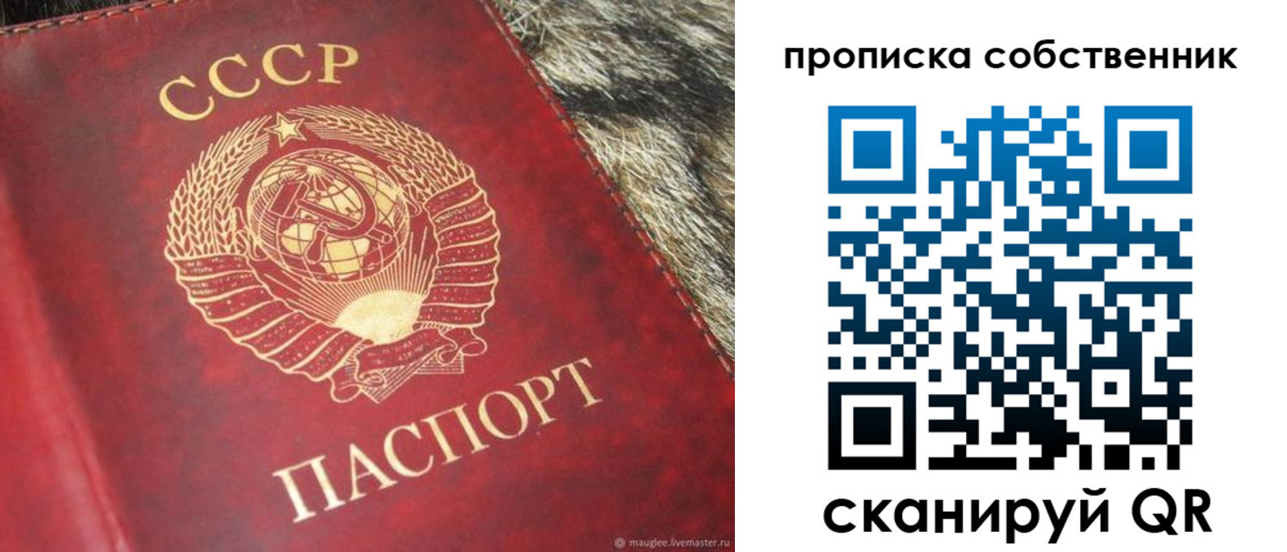 прописка в квартире в Боброве